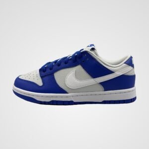 Nike Dunk Low Retro