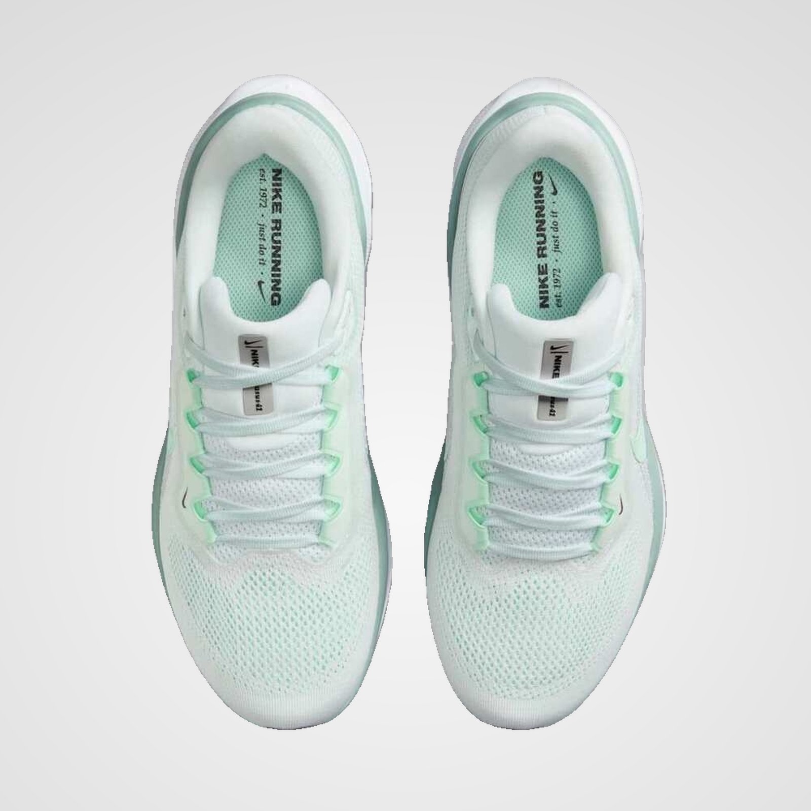 Nike Air Zoom Pegasus 41 Nike Air Zoom Pegasus 41 - Image 5