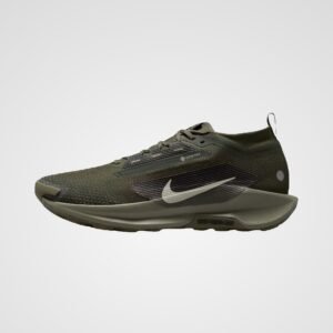 Nike Nike Pegasus Trail 5 Gore-Tex