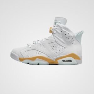 Air Jordan 6 Retro