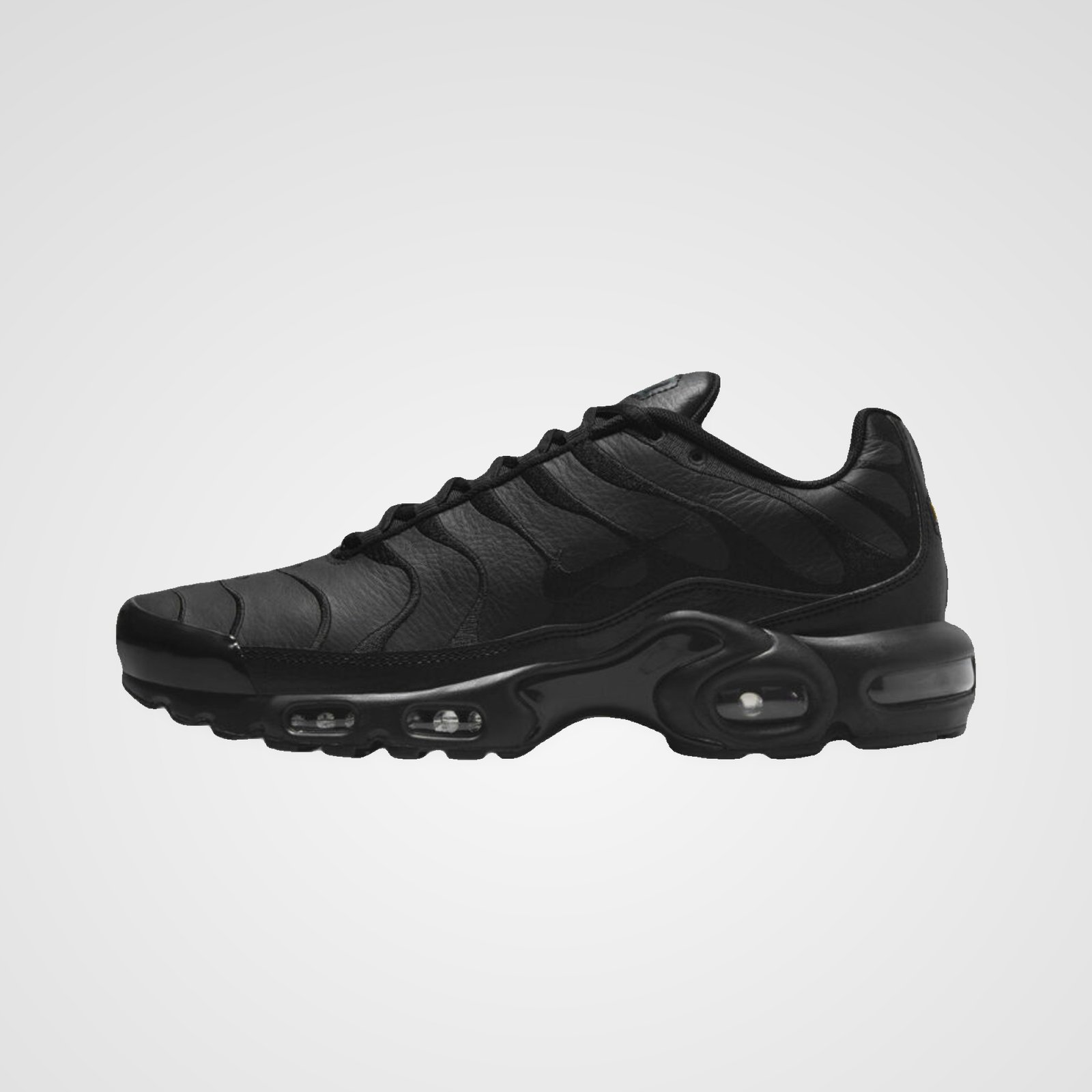 Nike Air Max Plus LTR Nike Air Max Plus LTR