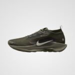 Nike Pegasus Trail 5 Gore-Tex