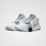 Nike Lebron Witness 8