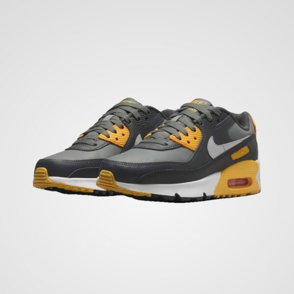 Nike Air Max 90 GS