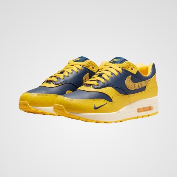 Nike Air Max 1