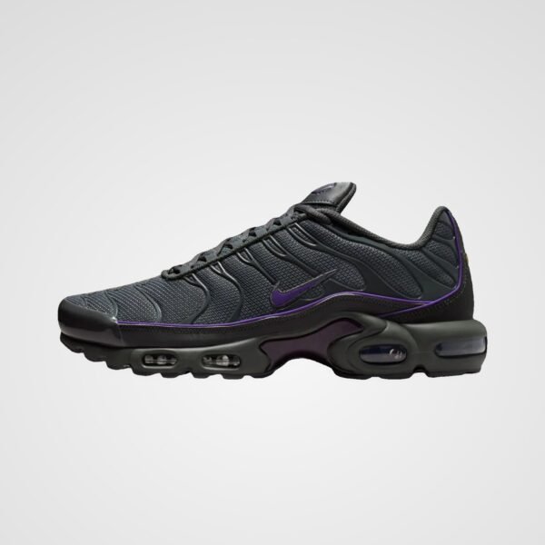 Nike Air Max Plus