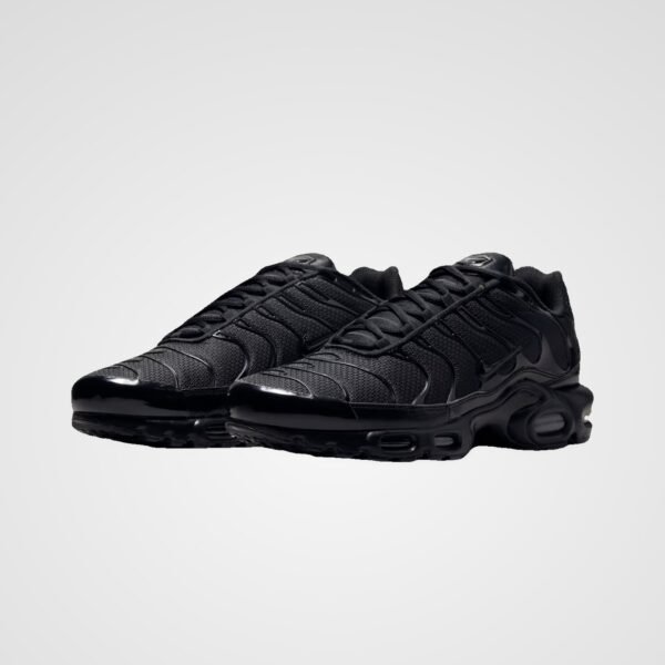 Nike Air Max Plus