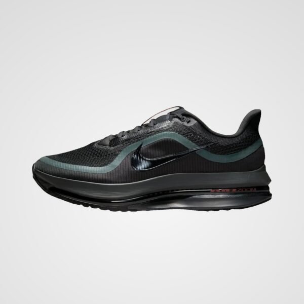 Nike Pegasus Premium