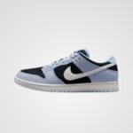 Nike SB Dunk Low Pro