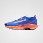 Nike Pegasus Trail 5 Gore-Tex
