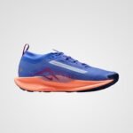 Nike Pegasus Trail 5 Gore-Tex - Image 2