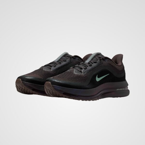 Nike Pegasus Premium