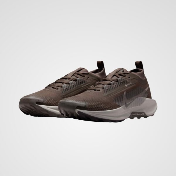 Nike Pegasus Trail 5 Gore-Tex