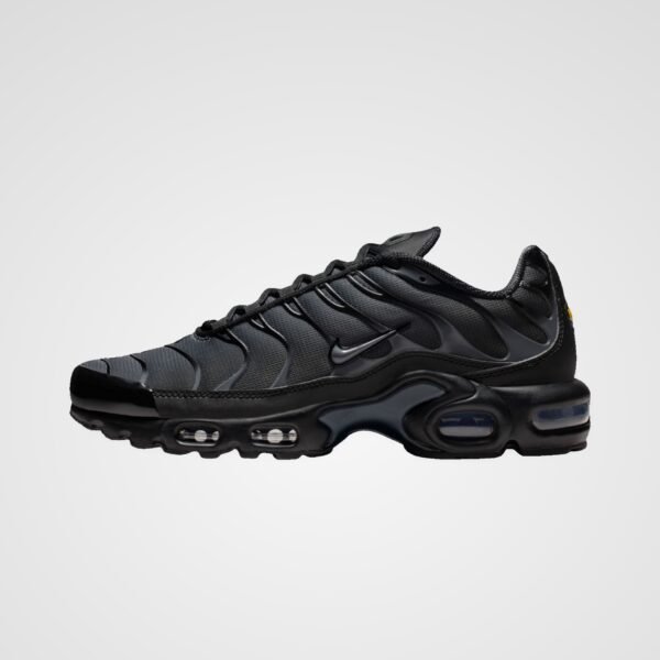 Nike Air Max Plus
