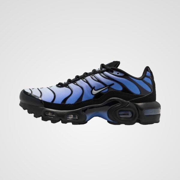 Nike Air Max Plus GS