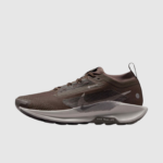 Nike Pegasus Trail 5 Gore-Tex - Image 3