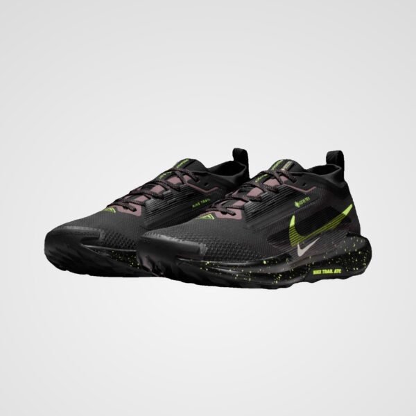 Nike Pegasus Trail 5 Gore-Tex