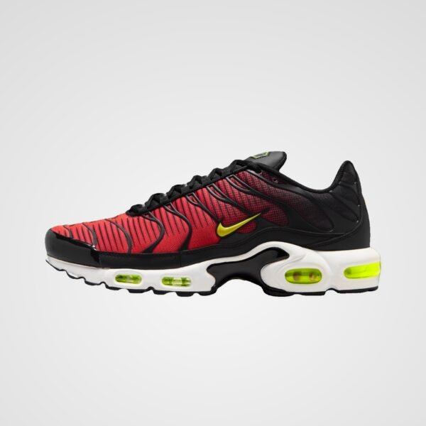 Nike Air Max Plus