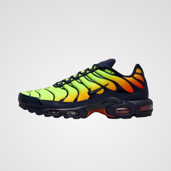Nike Air Max Plus